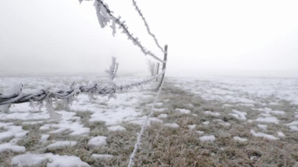 Terreno baldio de inverno com cerca de arame farpado em um campo vazio, nevoeiro assustador nas costas — Vídeo de Stock