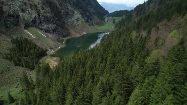 Aerial establish beautiful small green lake in the Swiss alps, drone over forest Royaltyfri Stockfilm