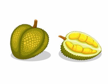 Durian namı diğer 