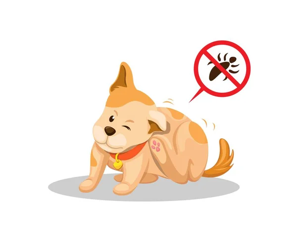 Cachorro Picazón Causa Piojos Mascota Parásito Problema Piel Ilustración Vector — Vector de stock
