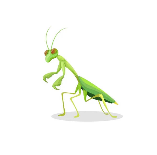 Προσεύχεται Mantis Ζώο Φιγούρα Χαρακτήρα Κινουμένων Σχεδίων Εικονογράφηση Διάνυσμα — Διανυσματικό Αρχείο