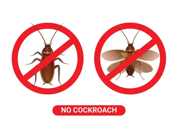 Ningún Vector Ilustración Dibujos Animados Símbolo Control Plagas Cucaracha — Vector de stock