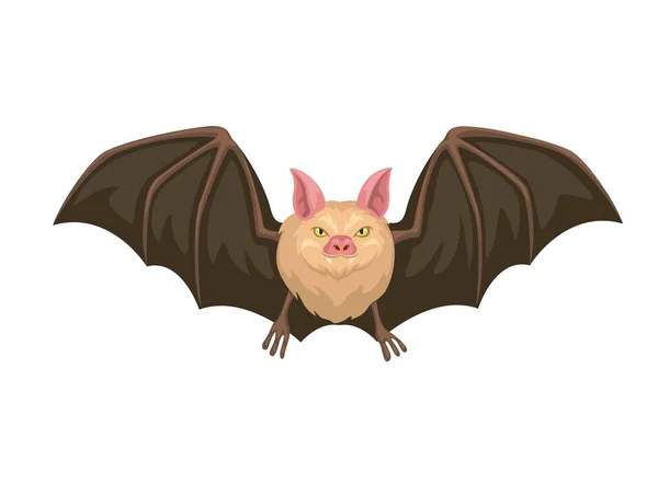 Bat Animal Flying Character Illustration Vector — Stock Vector