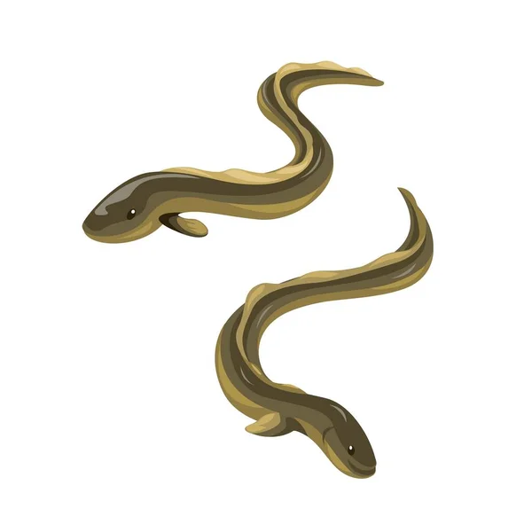 Eel Fish Animal Character Set Illustration Vector — Stock Vector
