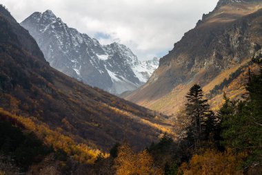 Kafkas dağlarında sonbahar
