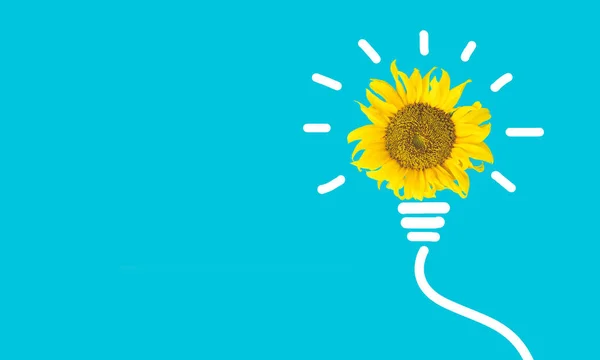 Idea Light Bulb Sunflower Blue Background Innovation Inspiration — Fotografie, imagine de stoc