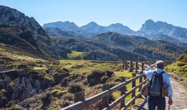 Yeşil ceketli bir adam dağlarda yürüyüş yapıyor.