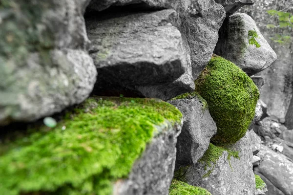 Yosun ve taşlı taş duvar