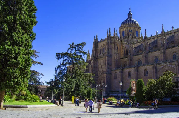 Barselona şehrinin merkezindeki St. Peter Bazilikası Katedrali, İspanya