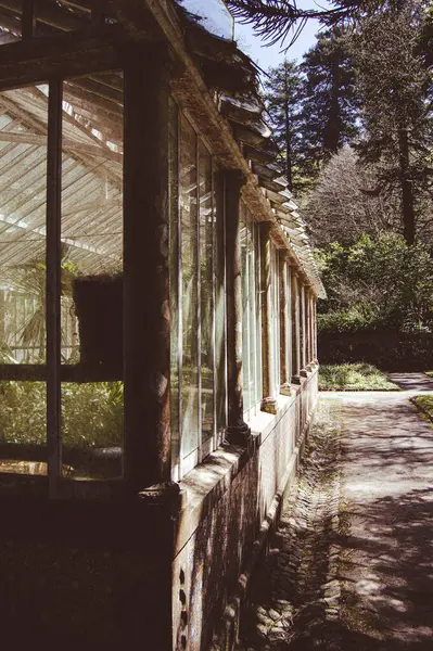 Ormandaki eski ahşap ev