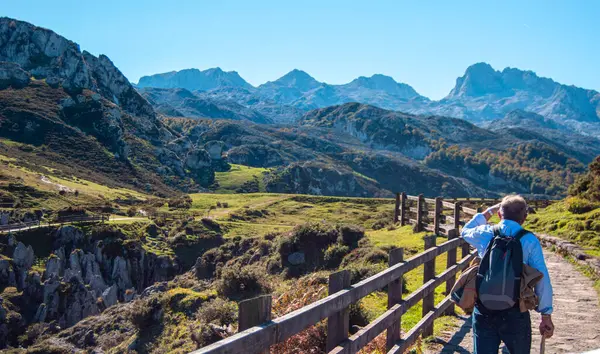 Yeşil ceketli bir adam dağlarda yürüyüş yapıyor.