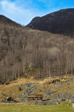 Dağlı güzel bir manzara.