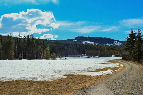 Ormandaki nehrin güzel manzarası.