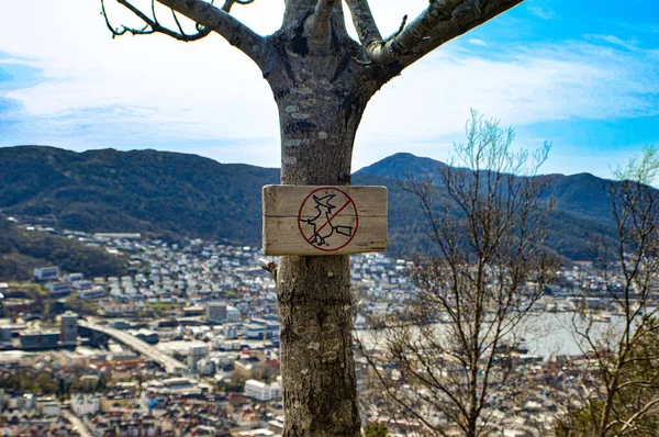 Bergen şehrinin manzarası