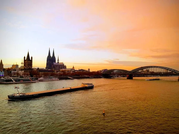 Köln Vasúti Híd Egy Bárány Naplementekor — Stock Fotó