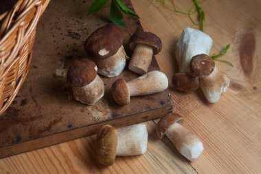 Yenebilir orman mantarları. Birçok porcini mantarı (sepet, porcino veya kral bolete, genellikle boletus edulis olarak bilinir), mantarlı hasır sepeti ve sonbahar mevsiminde ahşap zemin üzerinde yabani üzüm yaprakları.