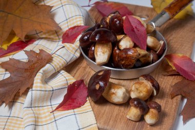 Sonbahar kompozisyonu Imleria Badia ya da Boletus badius mantarları yaygın olarak körfez boleti olarak bilinen ve ahşap kesme tahtasındaki mantarlar ile canlı sonbahar yaprakları. Yenilebilir ve gözenekli mantarların kadife kahverengi veya kestane rengi vardır.