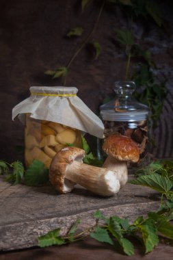 Yenebilir orman mantarları. Porcini mantar bileşimi (cep, porcino veya kral bolete, genellikle Boletus Edulis olarak adlandırılır), konserve mantarlı cam kavanoz ve yeşil sarmaşık yapraklı eski ahşap arka planda kuru mantarlar.