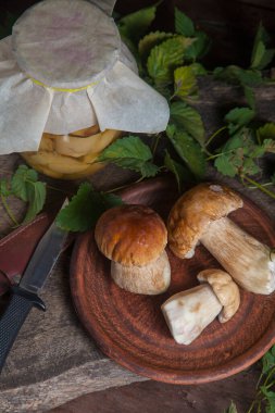 Yenebilir orman mantarları. Porcini mantarlı kil tabak (cep, porcino veya kral bolete, genellikle Boletus Edulis olarak bilinir), konserve mantarlı cam kavanoz ve yeşil sarmaşık yapraklı eski ahşap arka planda bıçak bileşimi