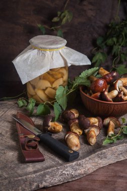 Bay Bolete 'nin (boletus badius veya imleria badia) sonbahar kompozisyonu, mantarlı kil kase, cam kavanozda konserve mantar ve antika ahşap arka planda bıçak ve sırtında yeşil sarmaşık yaprağı. Yenilebilir ve gözenekli mantarların kadife gibi koyu kahverengi ya da kaşıntıları vardır.
