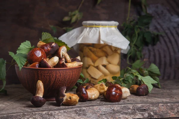 Autumn Composition Boletus Badius Imleria Badia Bay Bolete Clay Bowl — Stock Photo, Image