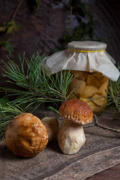 Ernte Von Essbaren Waldpilzen Zusammensetzung Aus Zwei Steinpilzen Steinpilz Steinpilz — Stockfoto