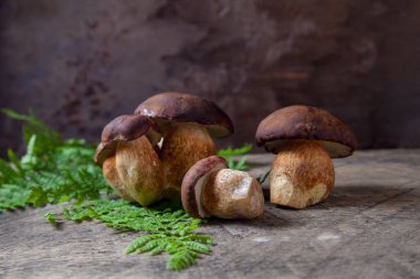 Birkaç Boletus badius, imleria badia ya da Bay bolete mantarlarının sonbahar kompozisyonu. Arkası eğreltiotu yeşili yapraklı, eski ahşap arka planda. Yenilebilir ve gözenekli mantarların kadife rengi kahverengi veya kestane rengi başlıkları vardır.