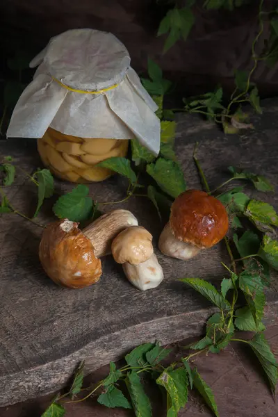 Crop Forest Edible Mushrooms Composition Porcini Mushrooms Cep Porcino King — Stock Photo, Image