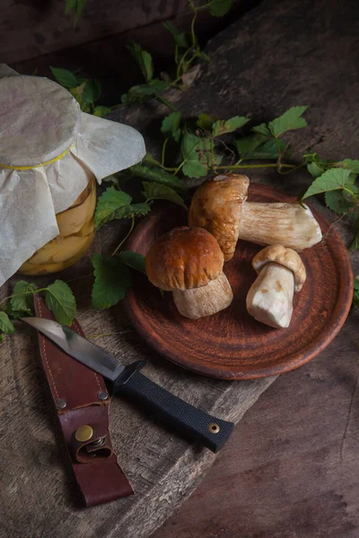 Crop Forest Edible Mushrooms Composition Clay Plate Porcini Mushrooms Cep — Stock Photo, Image