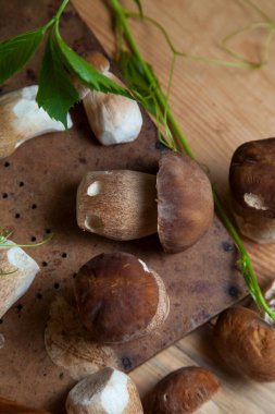 Yenebilir orman mantarları. Toplanan yabani Porcini mantarları (cep, porcino veya kral bolete, genellikle boletus edulis olarak adlandırılır) arasından güzel porcini mantarları, mantarlı sepet ve yabani üzüm yaprakları arasında seçici bir odak noktası