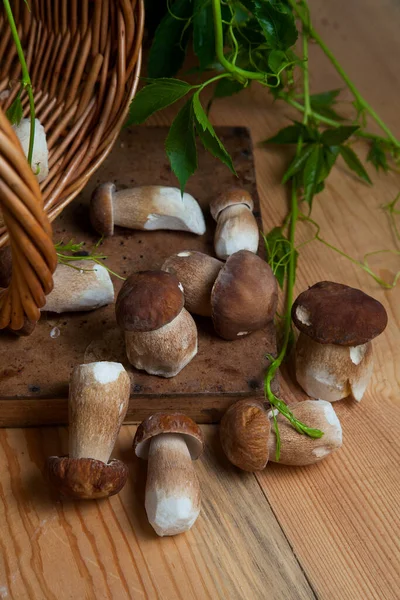 Cep Porcino Bolete Boletus Edulis 불린다 가을이 배경에 과푸른 바구니 — 스톡 사진