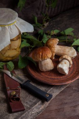 Yenebilir orman mantarları. Porcini mantarlı kil tabak (cep, porcino veya kral bolete, genellikle Boletus Edulis olarak bilinir), konserve mantarlı cam kavanoz ve yeşil sarmaşık yapraklı eski ahşap arka planda bıçak bileşimi