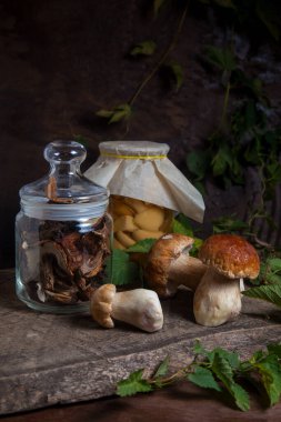 Yenebilir orman mantarları. Porcini mantar bileşimi (cep, porcino veya kral bolete, genellikle Boletus Edulis olarak adlandırılır), konserve mantarlı cam kavanoz ve yeşil sarmaşık yapraklı eski ahşap arka planda kuru mantarlar.
