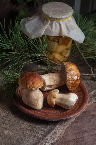 Crop Forest Edible Mushrooms Composition Clay Plate Three Porcini Mushrooms — Stock Photo, Image