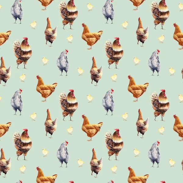 Watercolor Farm Poultry Yard Birds Seamless Pattern Surface Pattern Design — Stock Photo, Image