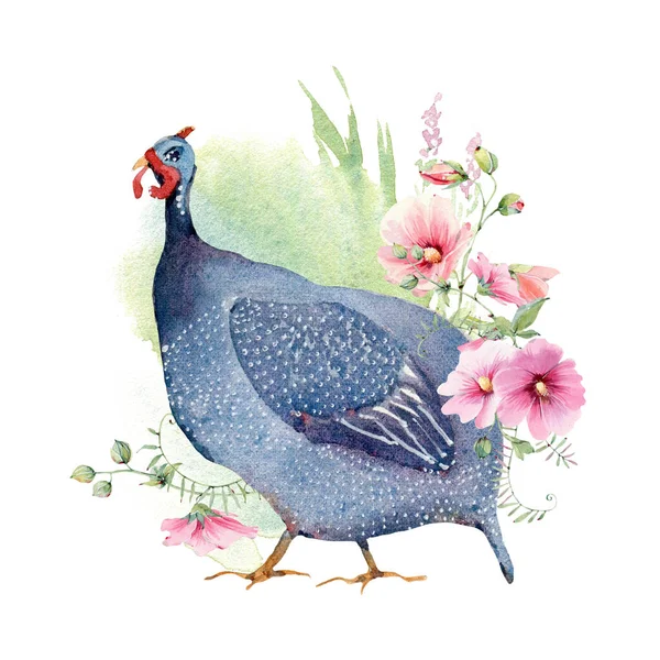 Akvarel Farma Drůbeží Yard Ptáků Perfektní Velikonoce Den Matek Den — Stock fotografie
