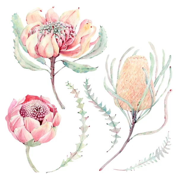 Пофарбовані Вручну Акварельні Квіти Встановлені Вінтажному Стилі Ідеально Підходить Вітальних — стокове фото