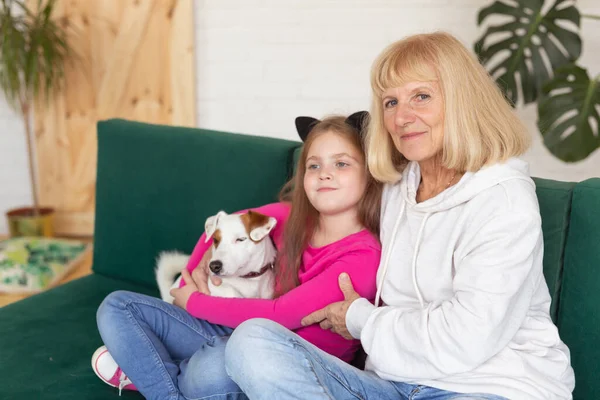 Feliz nieta y abuela sentadas en el sofá con Jack Russell Terrier Dog. La abuela abraza al nieto en casa. Concepto de personas mayores, familia y generación. —  Fotos de Stock