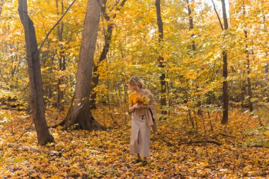 Sonbahar gününde güzel bir sonbahar parkında yürüyen bir kadın. Sezon ve yalnızlık kavramı