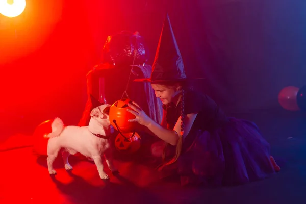 Halloween och firande koncept. Barnflicka i häxdräkt med Halloween pumpa leker med hund jack russell terrier — Stockfoto
