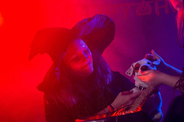 Zwei Halloween-Hexen zaubern mit Hund Jack Russell Terrier in der Halloween-Nacht. Magie, Urlaub und mystisches Konzept. — Stockfoto