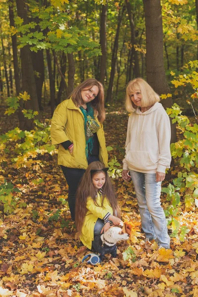 Portrét tří generací šťastných krásných žen a psů hledících do kamery, objímajících a usmívajících se v podzimní přírodě. — Stock fotografie