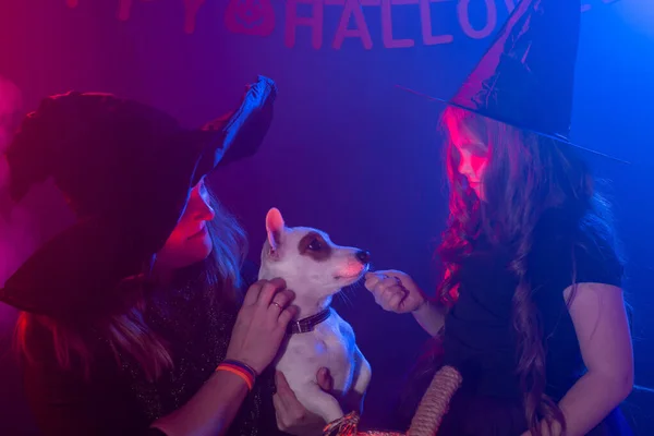 Zwei Halloween-Hexen zaubern mit Hund Jack Russell Terrier in der Halloween-Nacht. Magie, Urlaub und mystisches Konzept. — Stockfoto