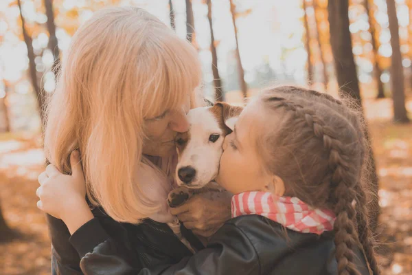 Grand-mère avec petite-fille dans le parc d'automne, fille embrassant grand-mère et son chien Jack Russell Terrier. Générations, animaux de compagnie et concept familial. — Photo