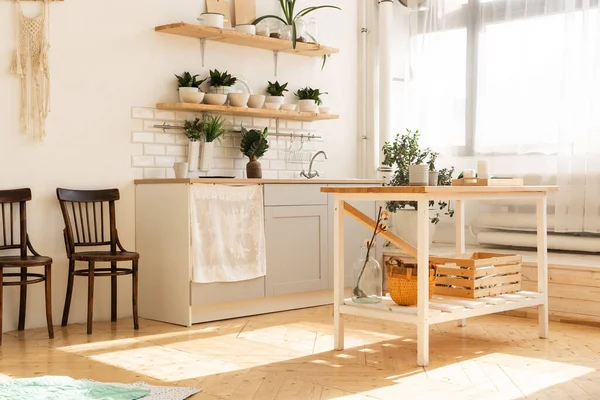 Stylový skandinávský otevřený prostor s kuchyňským příslušenstvím a rostlinami. — Stock fotografie