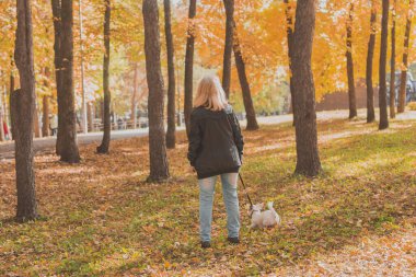 Sonbahar parkında köpeğiyle yaşlı bir kadının arka görüntüsü. Etkin yaşlanma ve evcil hayvan konsepti