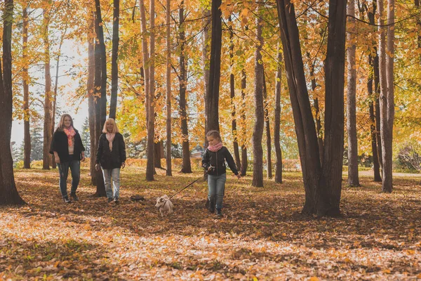 Babička s vnučkou se spolu procházejí v podzimním parku a baví se. Generování, volný čas a rodinný koncept. — Stock fotografie