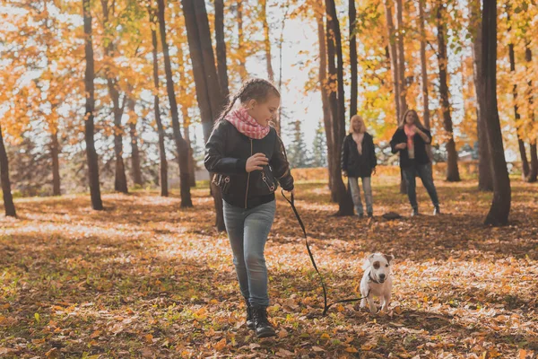 Mormor och mor med barnbarn går tillsammans i höstparken och har roligt. Begreppet generation, fritid och familj. — Stockfoto