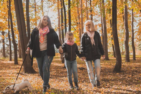 Büyük anne ve torunu sonbahar parkında birlikte yürüyüp eğleniyorlar. Nesil, eğlence ve aile kavramı. — Stok fotoğraf