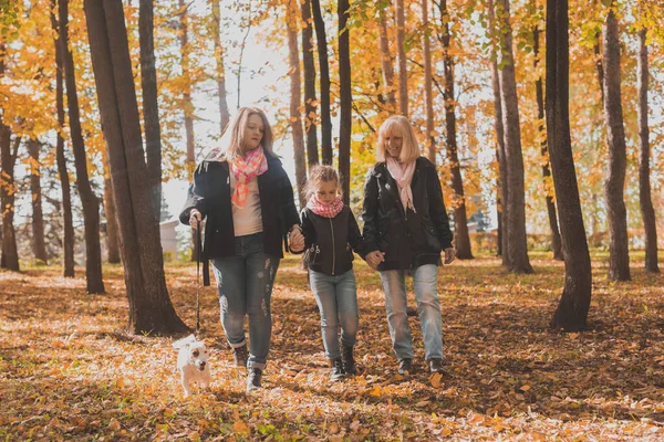 Avó e mãe com neta caminha juntos no parque de outono e se divertindo. Conceito de geração, lazer e família. — Fotografia de Stock